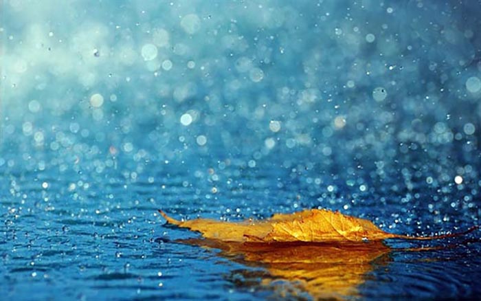 Tình yêu chia rẽ bởi vì nghề bác sĩ