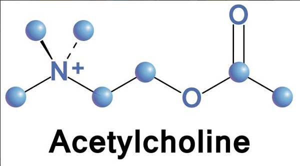 Thuốc Acetylcholine có tác dụng gì và liều dùng như thế nào?