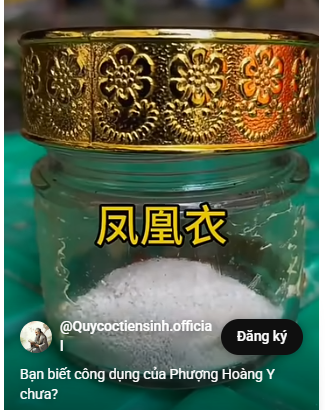 Phượng hoàng y được nghiền mịn, bảo quản trong lọ dùng dần.