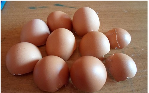 Vỏ trứng còn có nhiều tác dụng chữa được nhiều bệnh lý khác