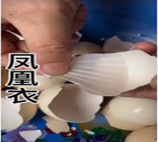 Phượng hoàng y – màng mỏng bên trong của vỏ trứng gà