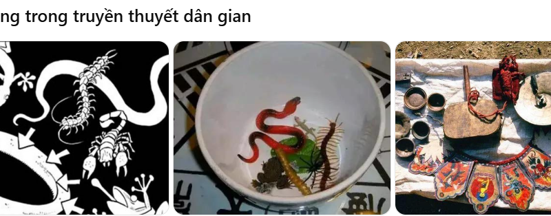 Kỳ 2: Cổ trùng là gì? Cổ trùng có thật không và có tác dụng gì đối với sức khỏe?