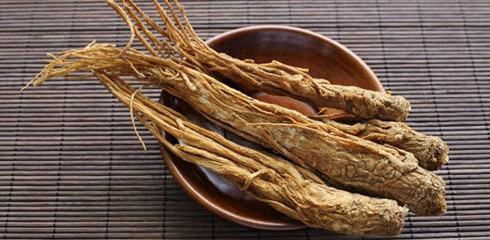 Đương quy vị thuốc bổ khí huyết cho chị em phụ nữ