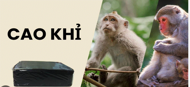 Cao khỉ được chế biến từ xương khỉ